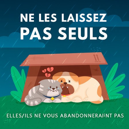 Illustration de l'actualité - cliquer pour agrandir