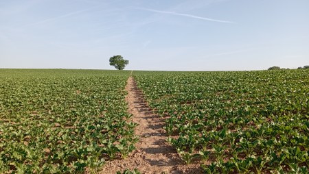 Illustration de l'actualité - cliquer pour agrandir