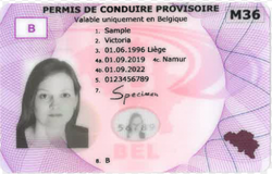 Demande en ligne de permis de conduire provisoire