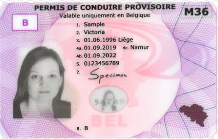 Illustration de l'actualité - cliquer pour agrandir